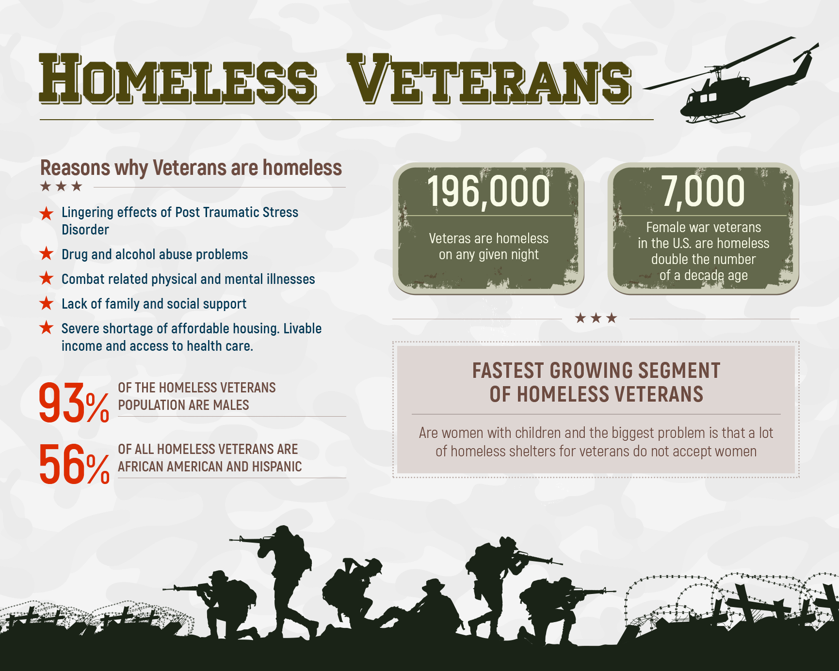 homeless veterans statistics infographics